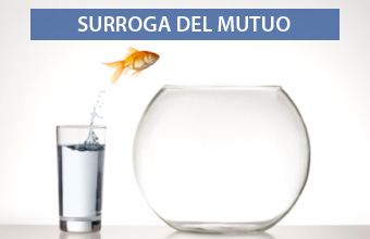 surroga del mutuo